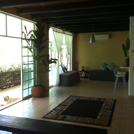 Casa Guacamaya Hotel Palenque Eksteriør billede