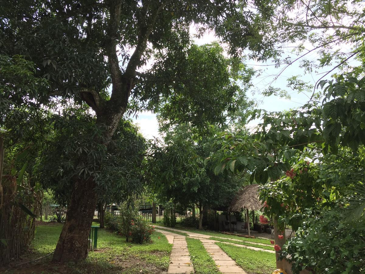 Casa Guacamaya Hotel Palenque Eksteriør billede