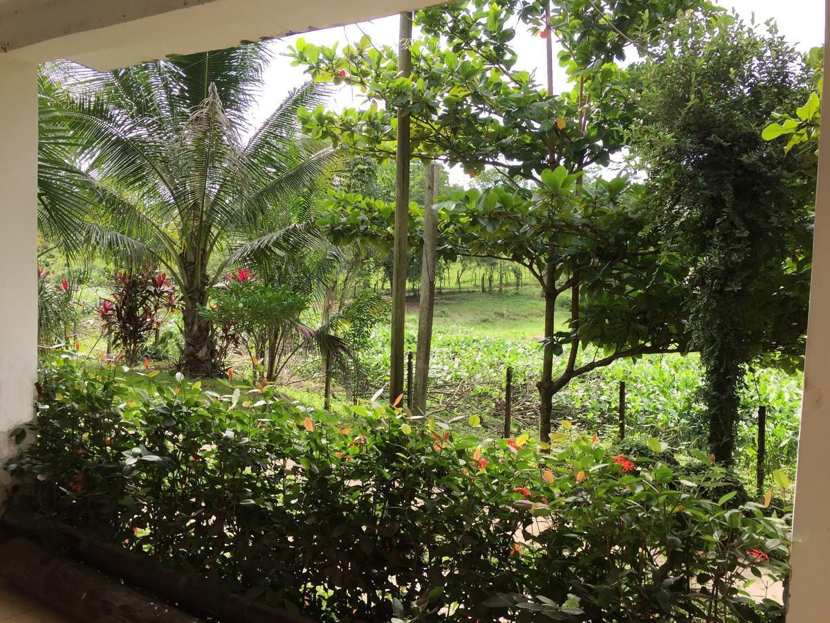 Casa Guacamaya Hotel Palenque Eksteriør billede