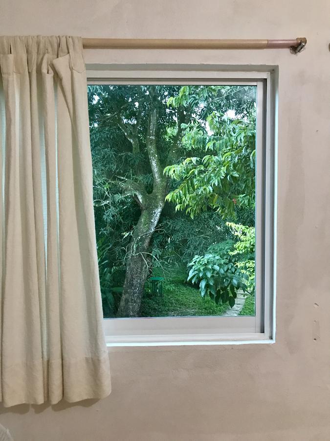 Casa Guacamaya Hotel Palenque Eksteriør billede